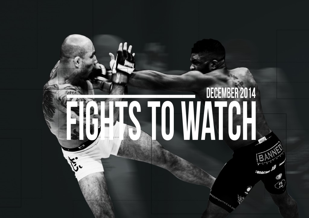 Fights 2 Watch in December MMA Plus